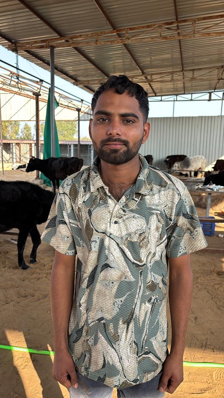 स्वयंसेवक टीम गोशाला में